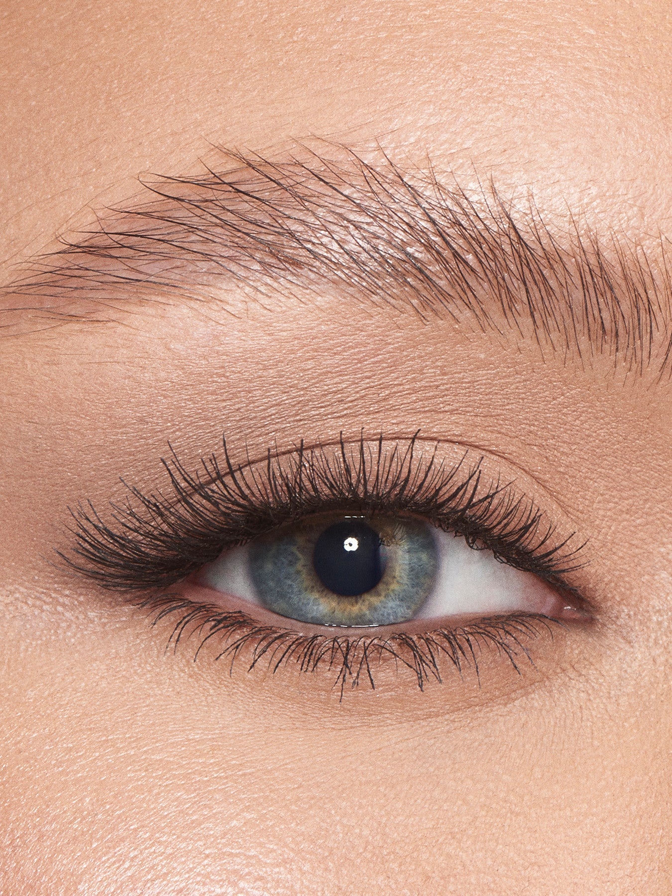 Brow Perfection Elegance