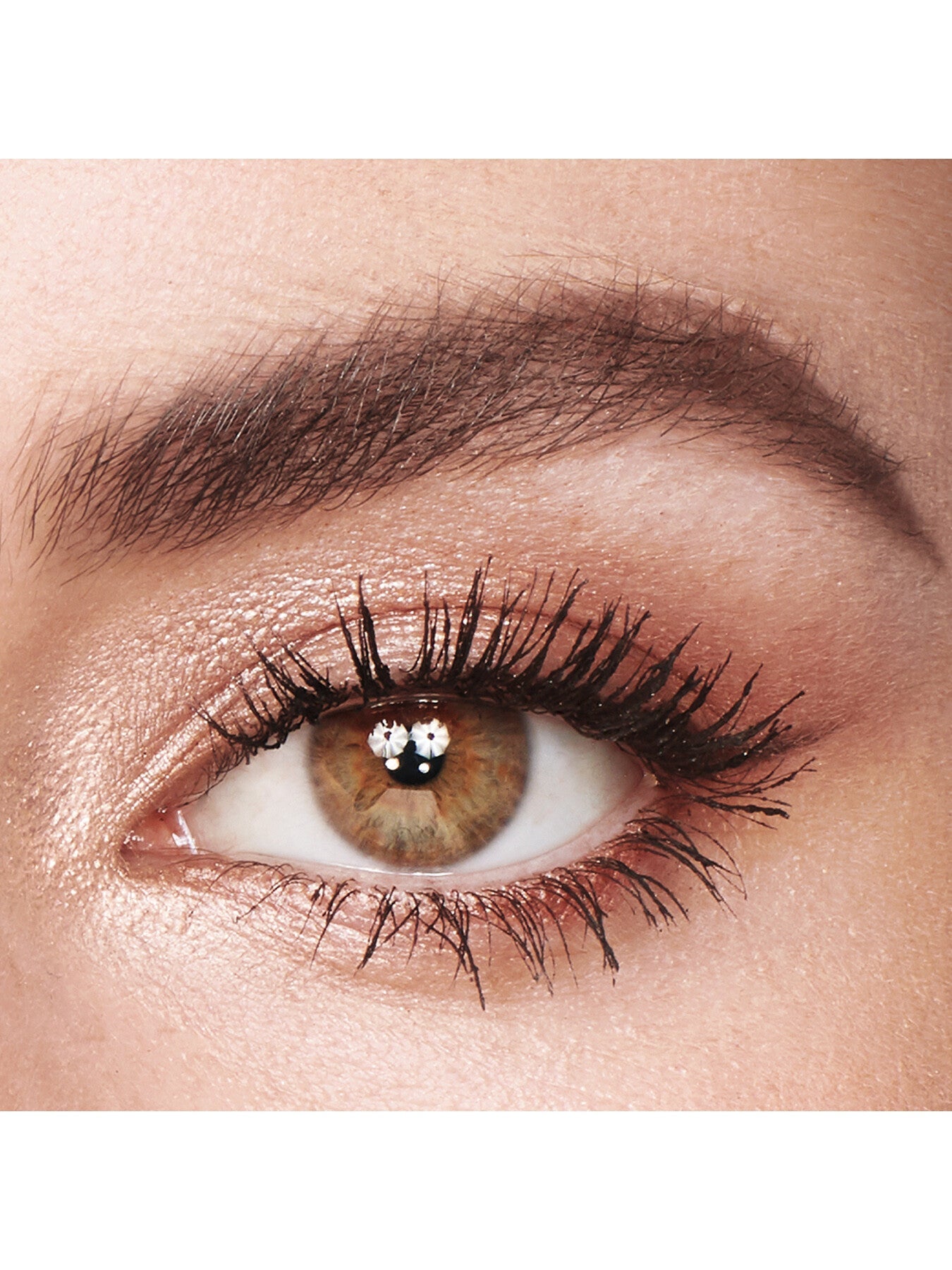 Illuminating Eye Palette for Enhanced Radiance